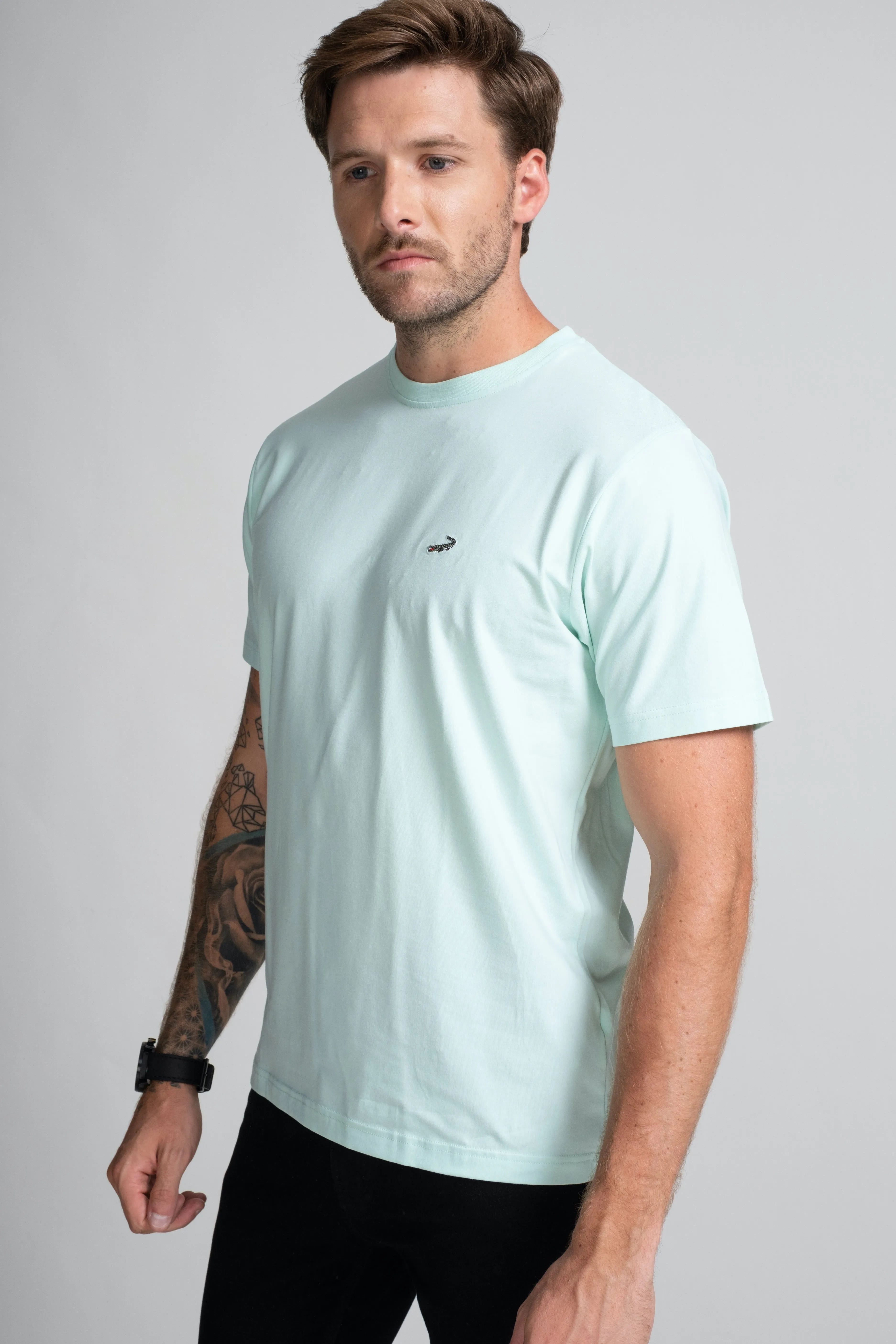 Classic Fit Short sleeves-CasualCrew Neck - Mist Green