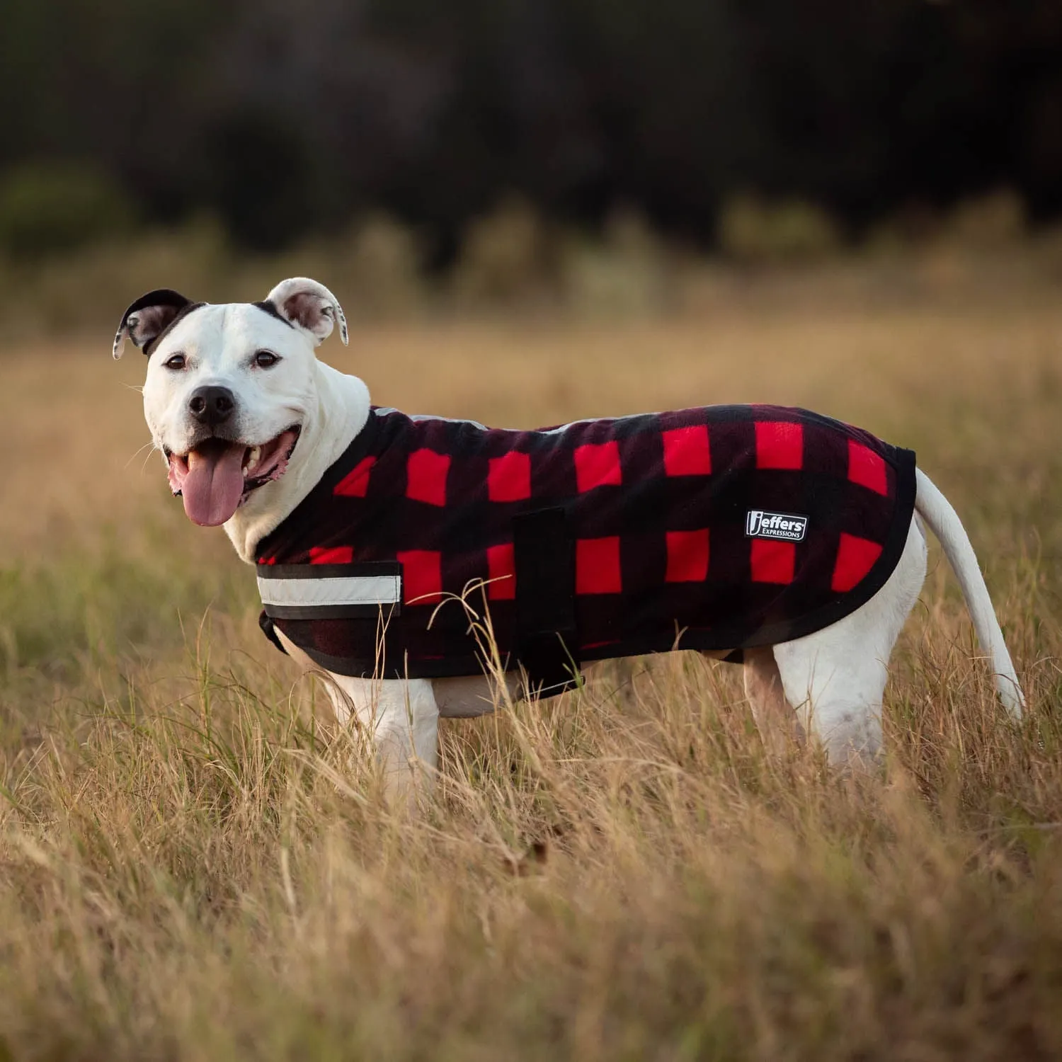 Expression "Buffalo Check" Fleece Dog Rug